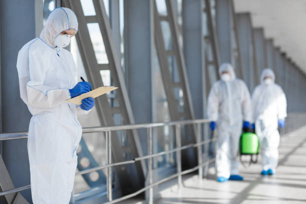 Best Mold Removal for HVAC Installations  in East Rockaway, NY