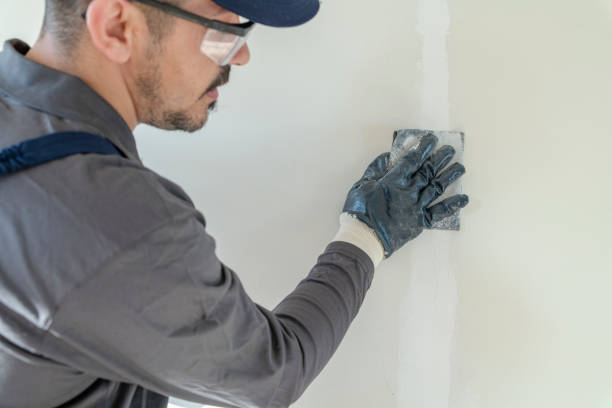 Trusted East Rockaway, NY Mold Removal Experts