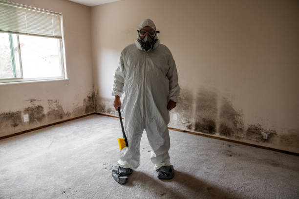 Best HVAC Mold Inspection and Cleaning  in East Rockaway, NY